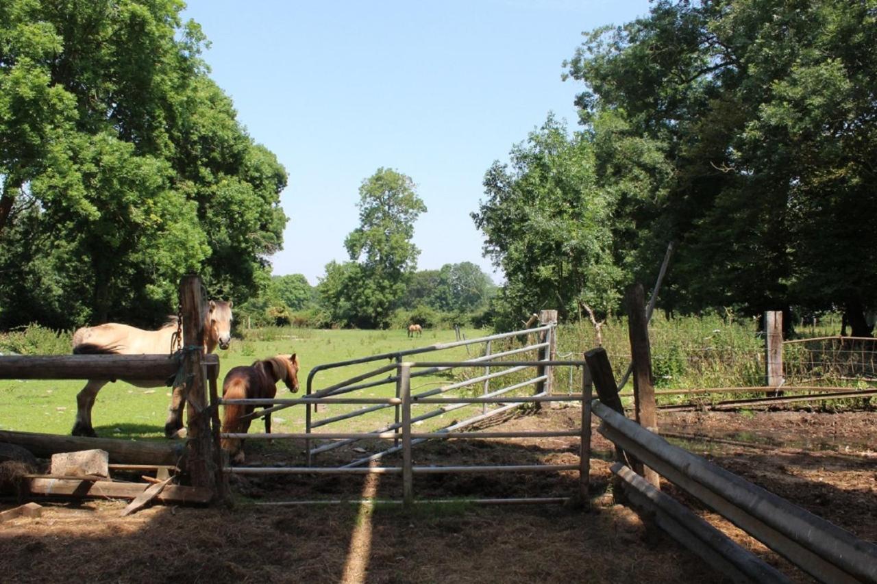 Вилла La Ferme De La Croix Saint-Quentin-Lamotte-Croix-au-Bailly Экстерьер фото