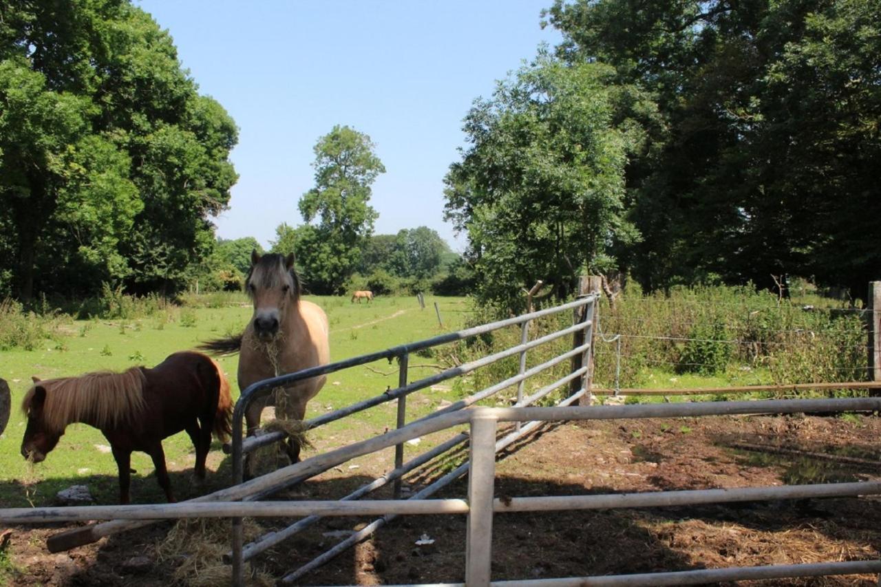 Вилла La Ferme De La Croix Saint-Quentin-Lamotte-Croix-au-Bailly Экстерьер фото